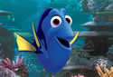 bluetangy
