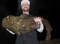 catfishpa
