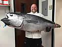 cheffishpic