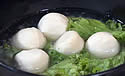 fishballs