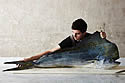 fishpassion