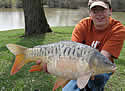 fishpicture