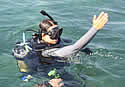 fishresearcher
