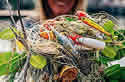 fishinglure