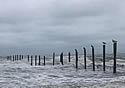 horsefence
