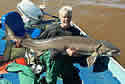 lakesturgeon