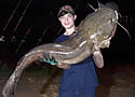 largecatfish