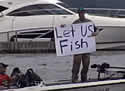 letfish