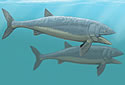 leviathans