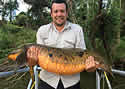 lungfish