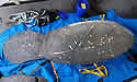manateerescue