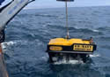 navyrov