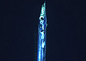 needlefish