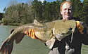 normancatfish