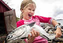 norwayfish
