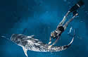 oceanwhisper