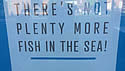 plentyfish
