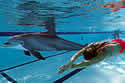 robotdolphin