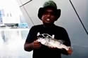 slamfish