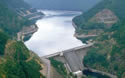 steelheaddam