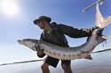 sturgeon-us