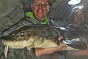 sturgeon