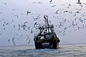 trawler