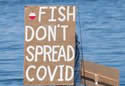 viralfish