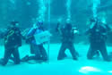 24scuba