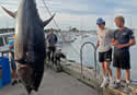 450-tuna
