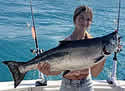 bigchinook