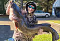 blueFishrecord