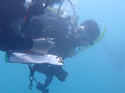 coralcollege