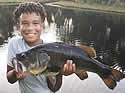 covidfisher