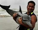 dolphinrescueindia