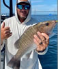 fatcatch