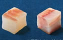 fishcube