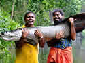 fishvlogger