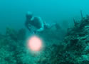 freeDiver