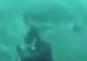 gwsdiver