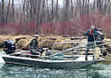 idahoboat