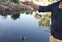 lafishing