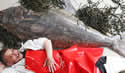 large-halibut
