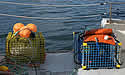 lobsterpot