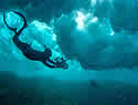 oceandiver