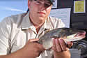 pikeminnow