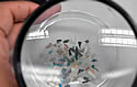 plasticfish