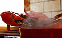redcrab