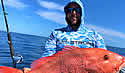 saltlife