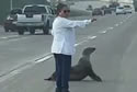 sandiegofreeway